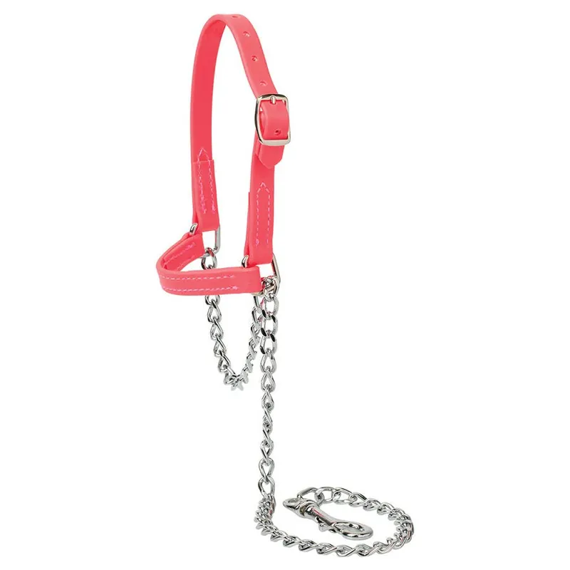 Weaver Livestock Sheep and Goat Brahma Webb Halters