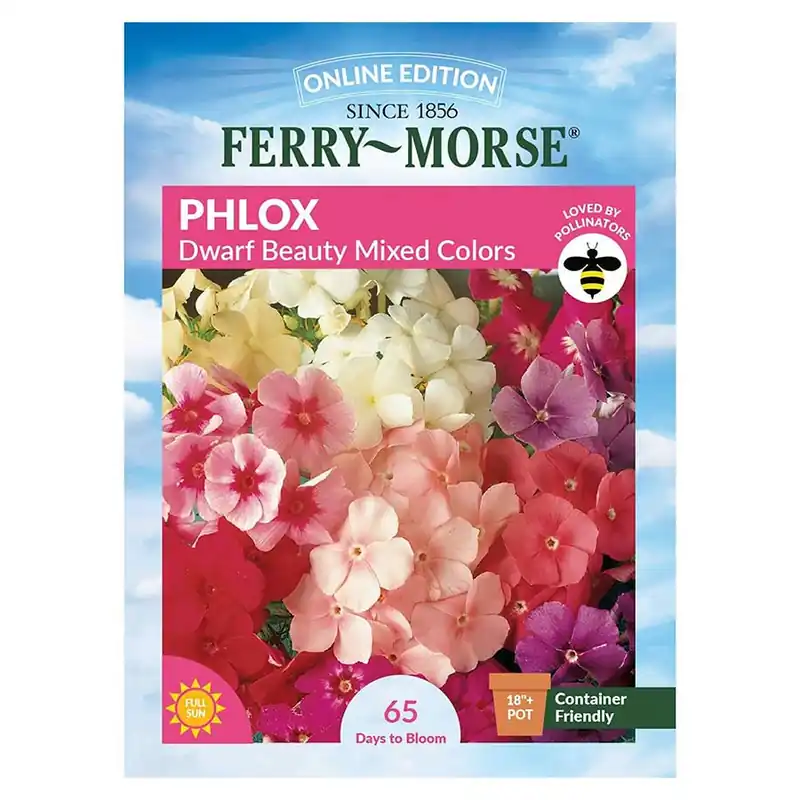 Ferry-Morse Phlox Dwarf Beauty Seeds
