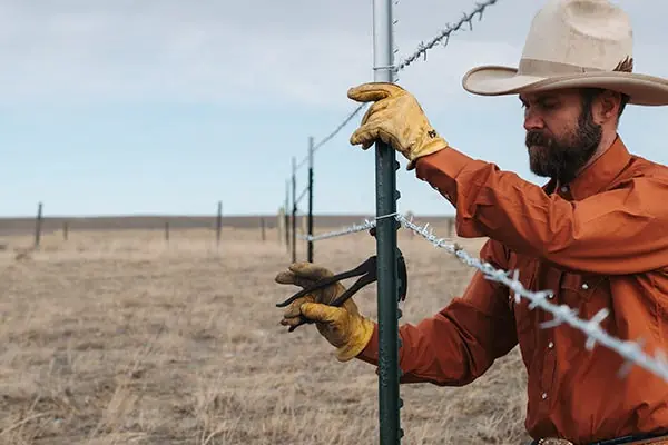 High Tensile vs Barbed Wire Which Fence Holds Best?