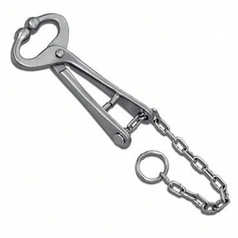 Agri-Pro Bull Lead with Chain