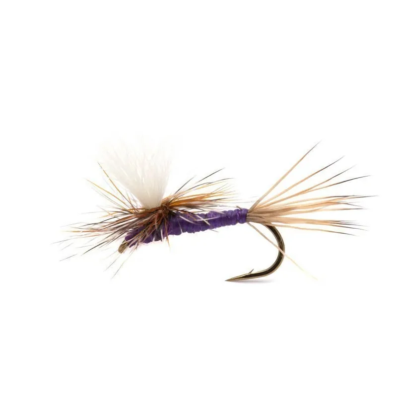 Carlson‘s Purple Haze (12 Pack) North 40 Outfitters