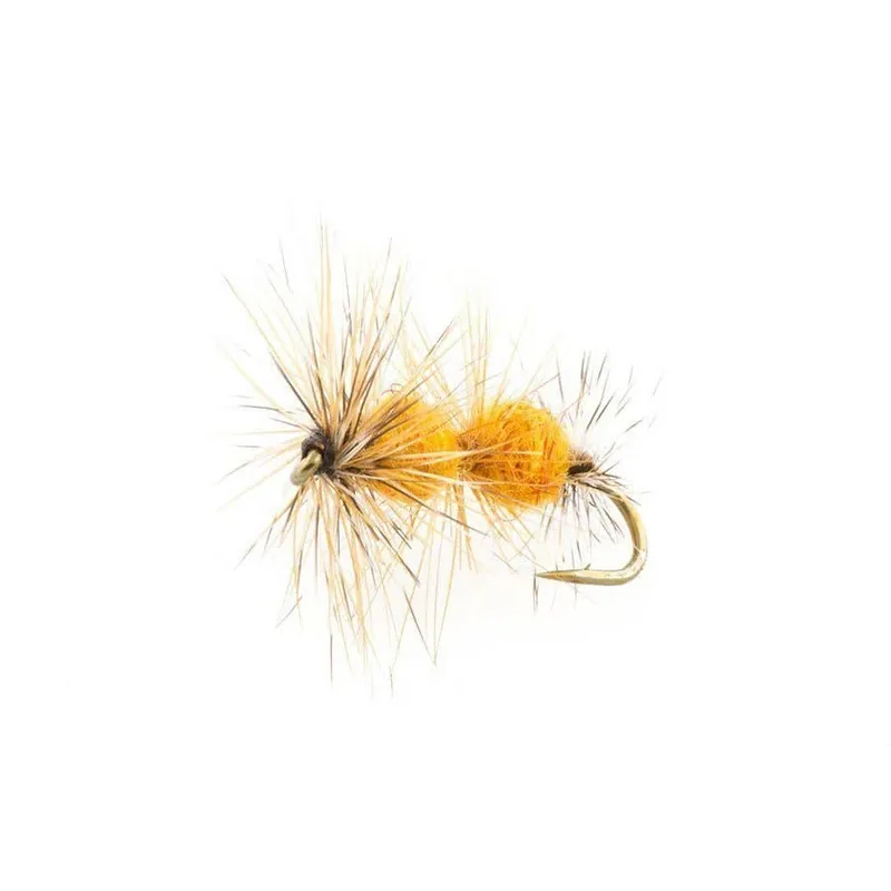 Triple Double Amber (12 Pack) North 40 Outfitters