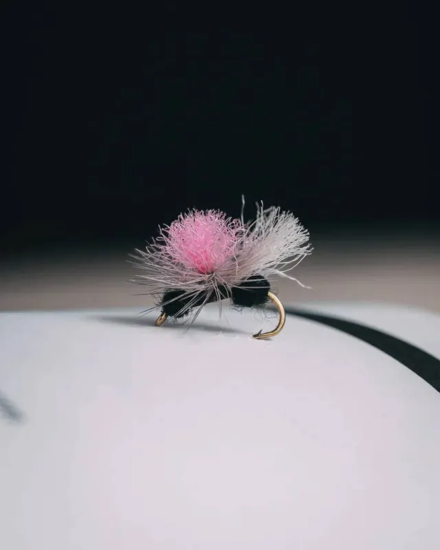 Bloom‘s Ant (12 Pack) North 40 Outfitters
