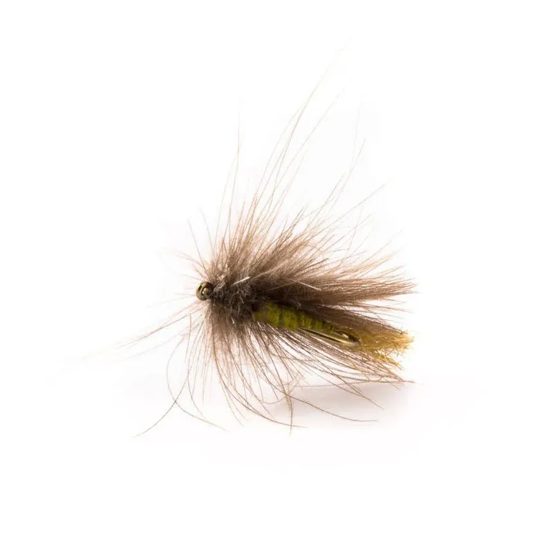 Corn-Fed Caddis Fly