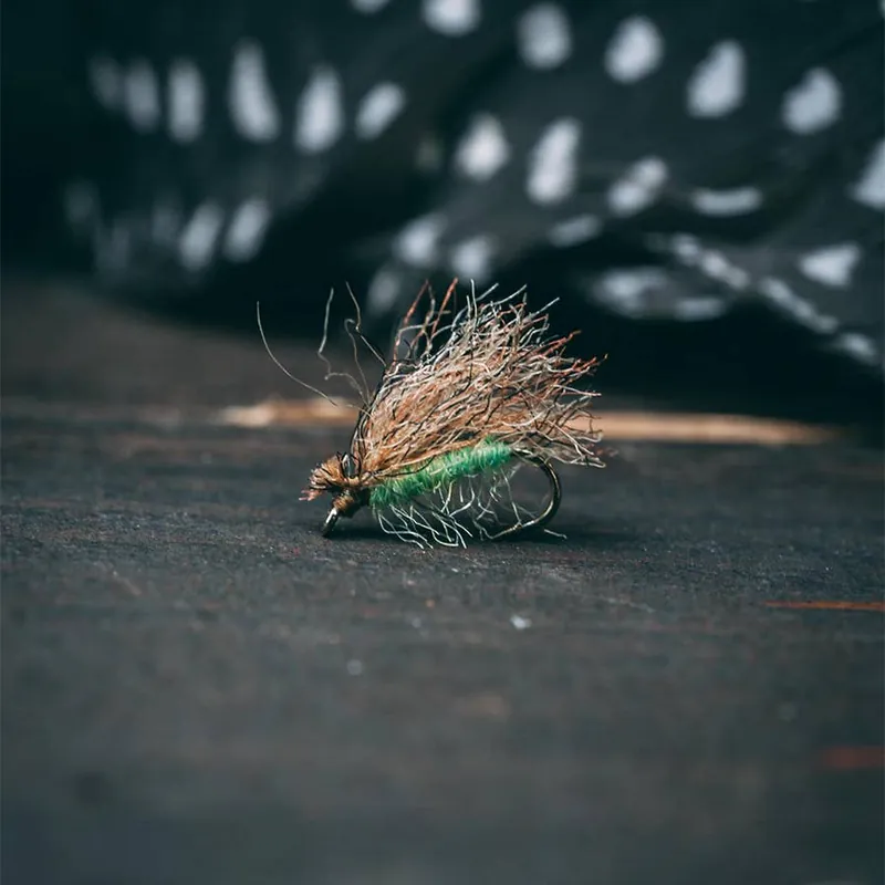 Enrico Puglisi Caddis