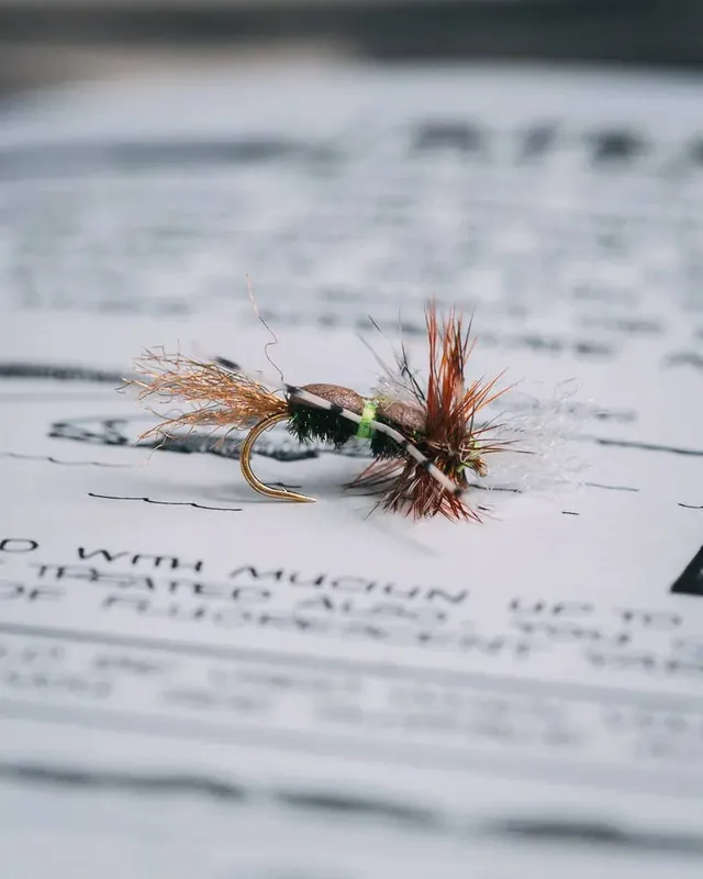 Cheech‘s Grumpy Frumpy Fly