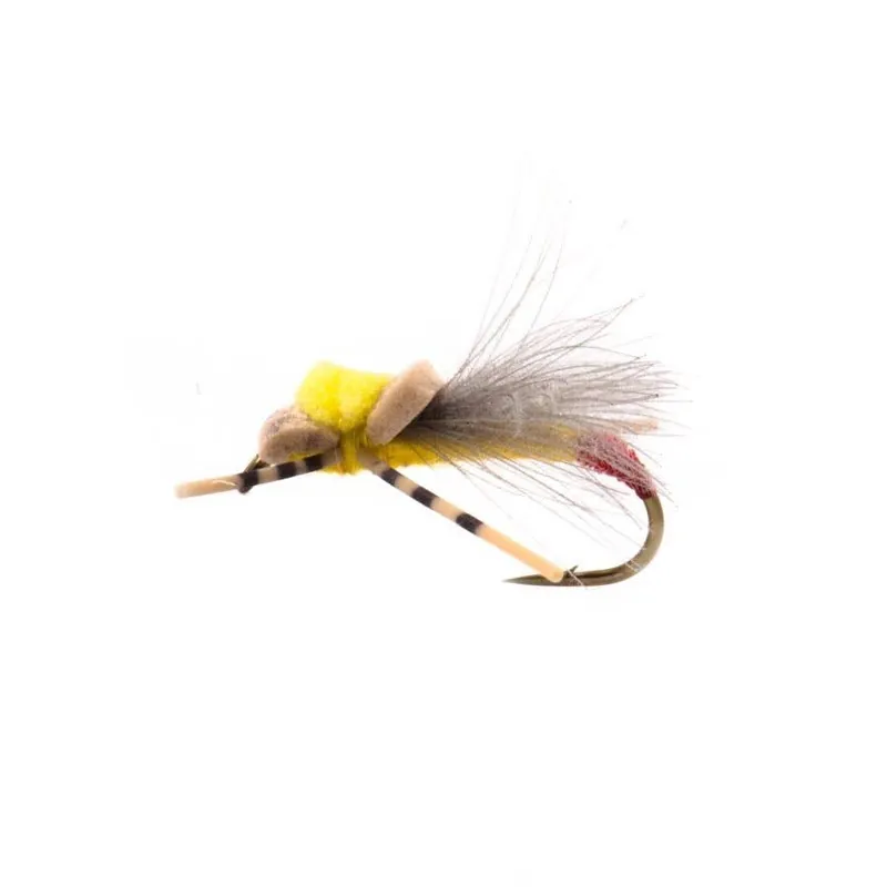 Yellow Sally-Rollin‘ Stone Fly