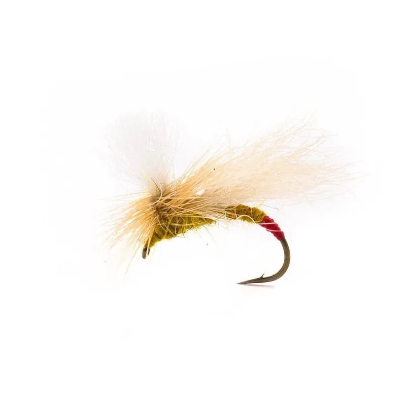 Yellow Sally Snowshoe Fly