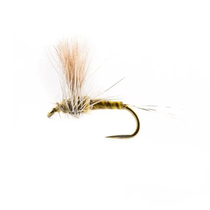 CDC Biot Comparadun BWO Fly