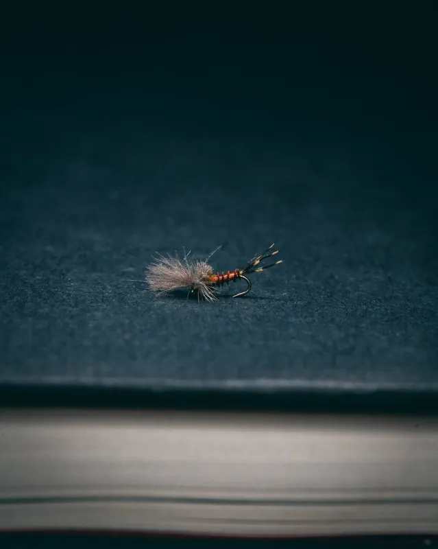 Rene Harrop‘s Last Chance Cripple - BWO