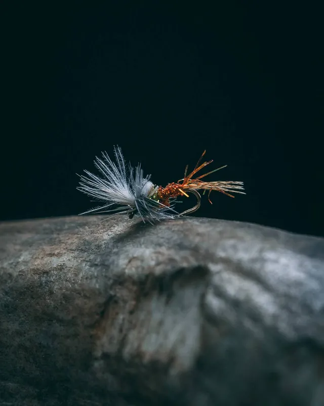 Rene Harrop‘s D&D Cripple - BWO