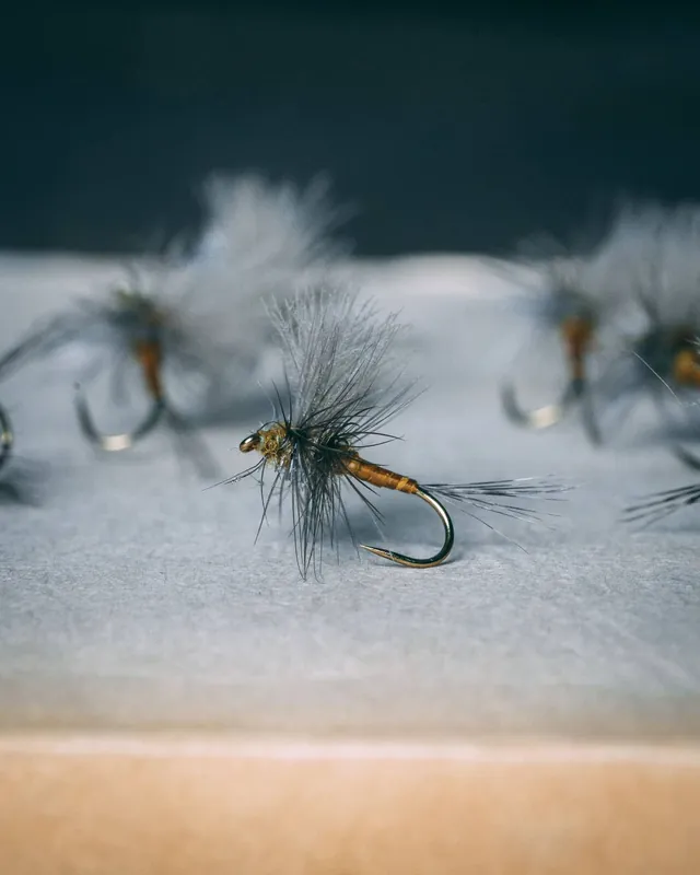Rene Harrop‘s CDC Thorax - BWO