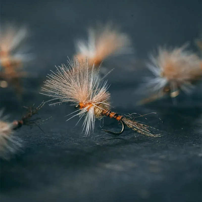 Last Chance Sulphur Cripple Fly