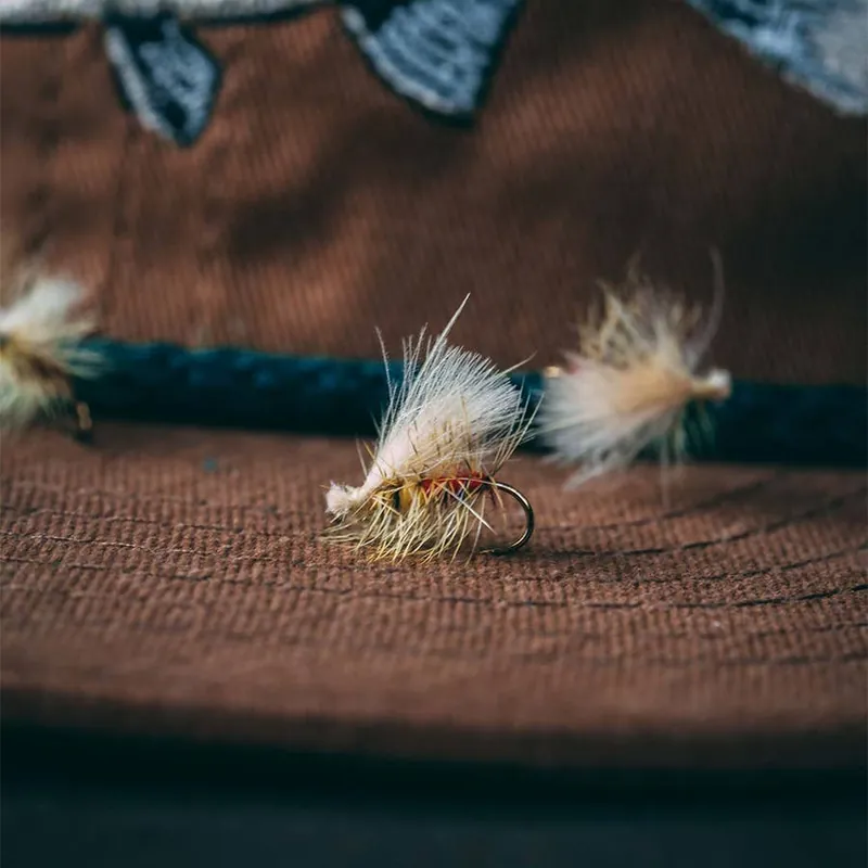 Fluttering Yellow Sallie Fly