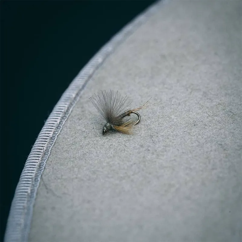 Rene Harrop‘s CDC Biot Emerger - BWO