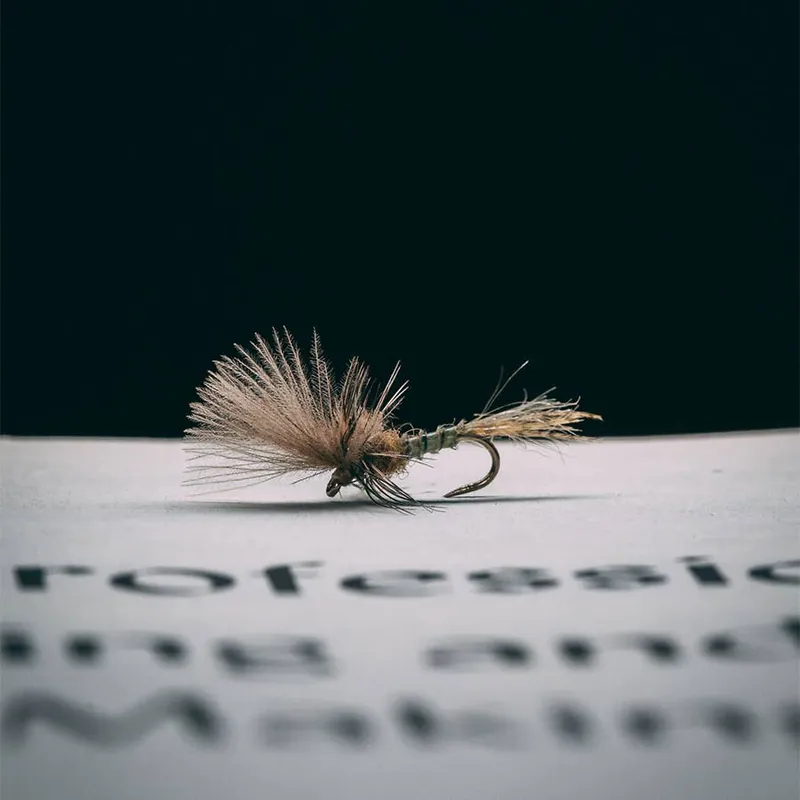 Rene Harrop‘s Last Chance Cripple - Callibaetis