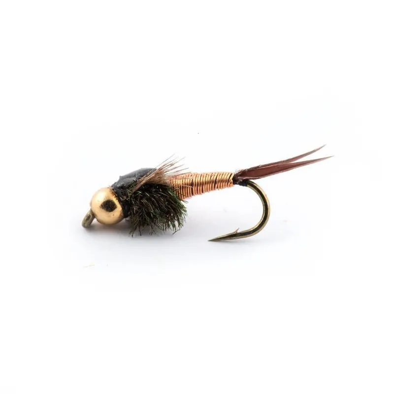Copper John Barr‘s Gold Bead Head Fly