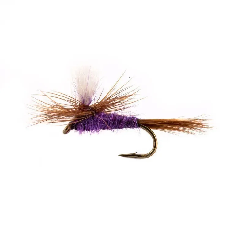 Andy Carlson‘s Purple Haze