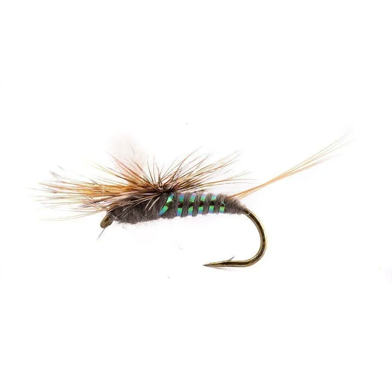 Jack Dennis‘ Parawulff
