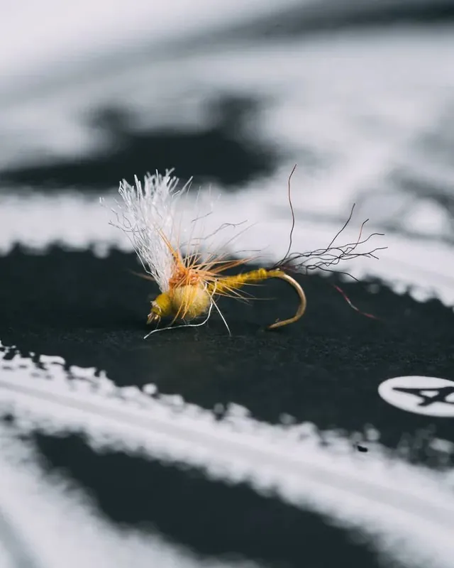 Quigley‘s Sparkle Flag BWO Fly