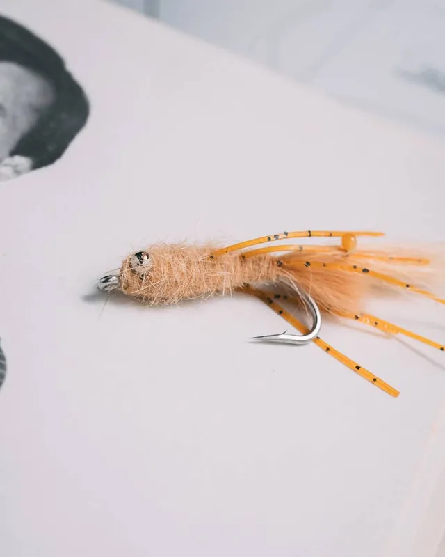 Veverka‘s Mantis Shrimp Fly