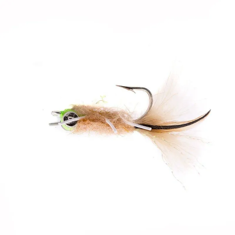 Rag Head Crab Fly