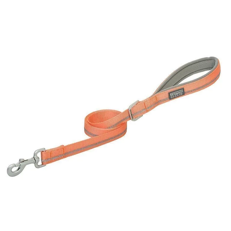 Weaver Reflective Neoprene Lined Dog Leash