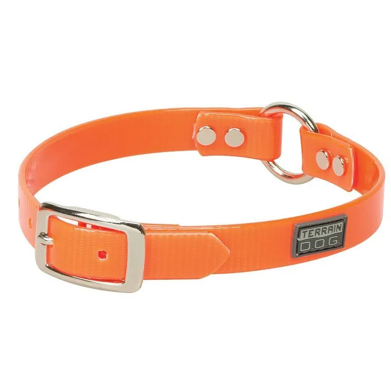 Weaver Brahma Webb Clear Coat Dog Collar
