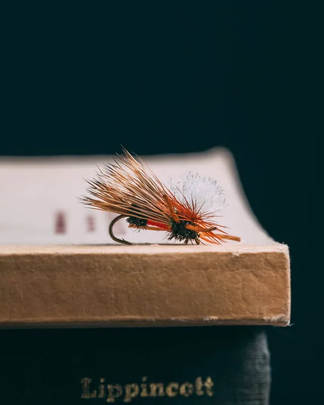 Montana Fly Swisher‘s PMX
