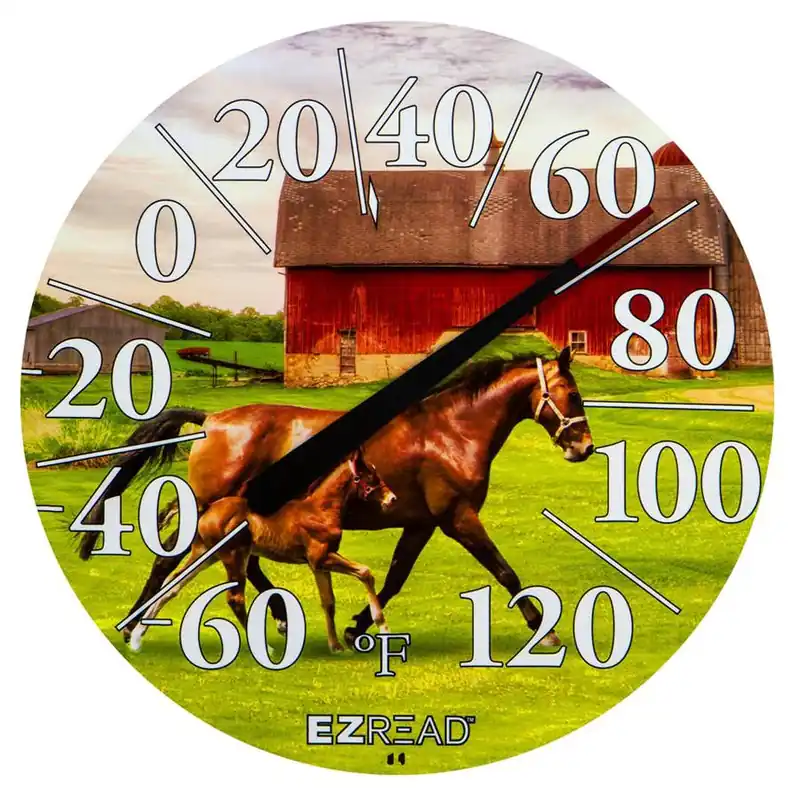 EZ Read Dial Thermometer - 12.5""