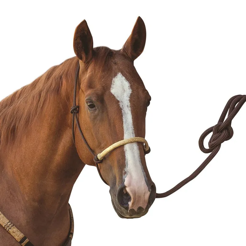 Martin Saddlery Braided Rawhide Rope Halter