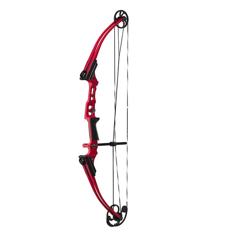Genesis Archery Mini Bow