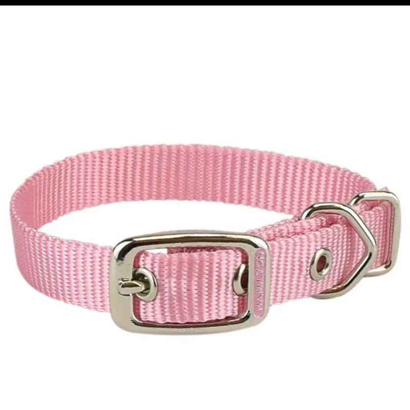 Hamilton Single Thick Deluxe Nylon Dog Collar - 5/8""