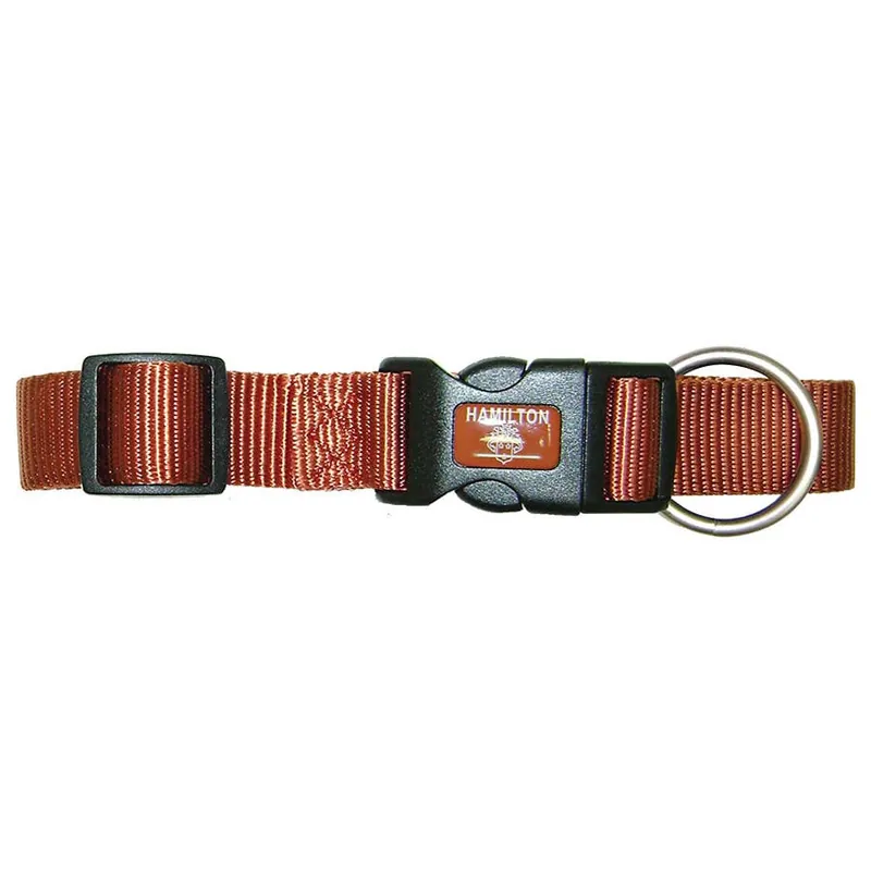 Hamilton Adjustable Dog Collar with Brushed Hardware