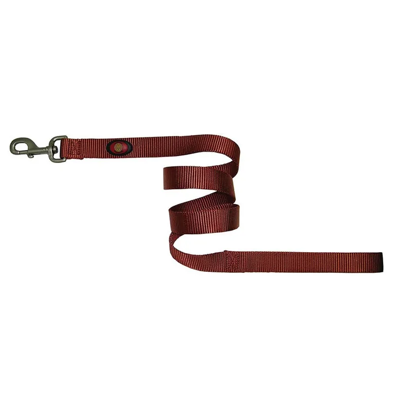Hamilton Single Thick Nylon Dog Lead with Swivel Snap