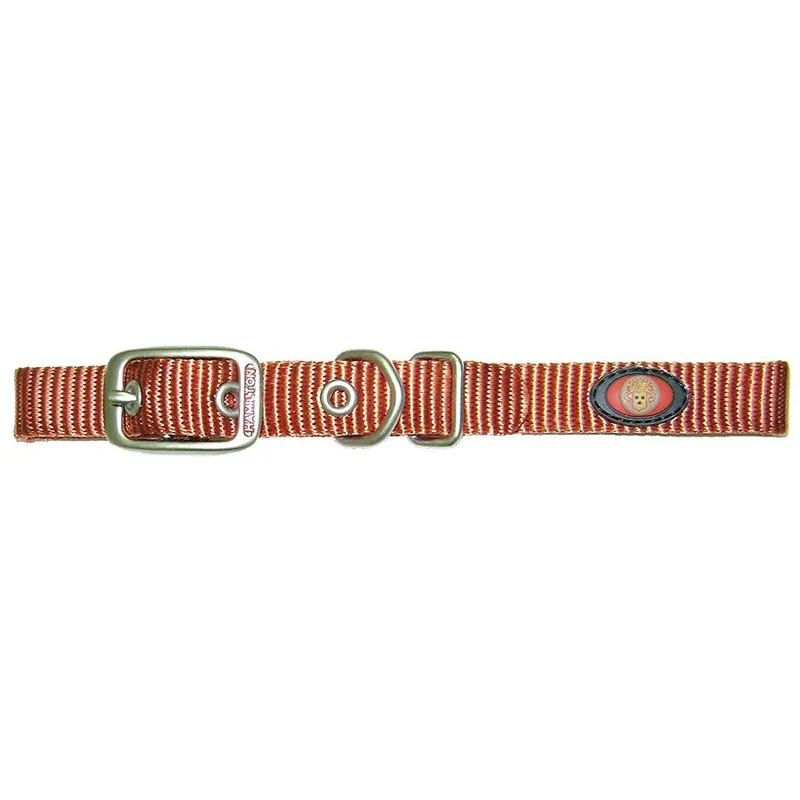Hamilton Brushed Hardware Single Thick Nylon Deluxe Dog Collar