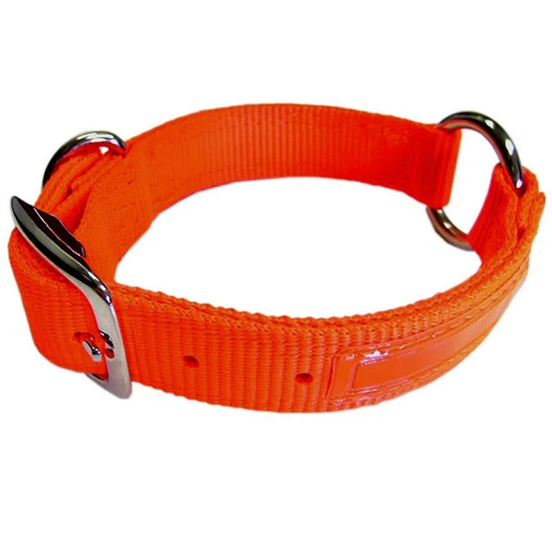 Hamilton Safe Rite Dog Collar with Tape - Orange