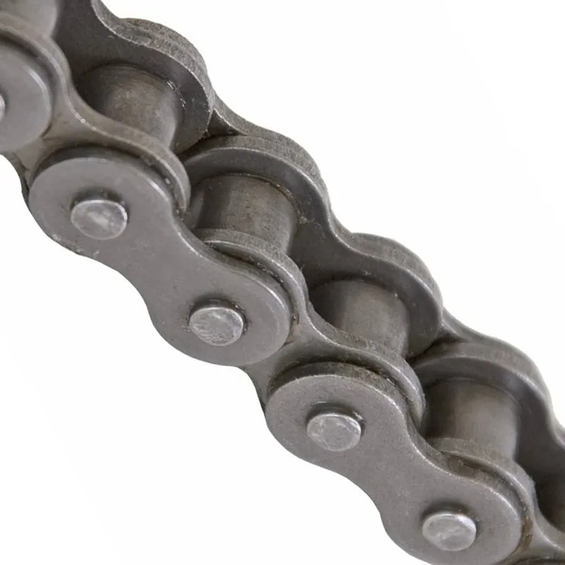 Daido Tru-Pitch Roller Chain - 10‘
