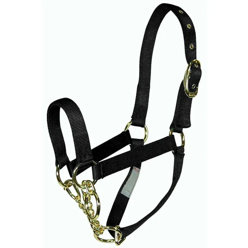 Hamilton Cow Control Nylon Horse Halter with Chain - Yearling