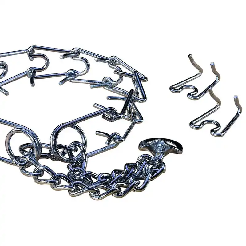 Hamilton Chain Prong Training Collar
