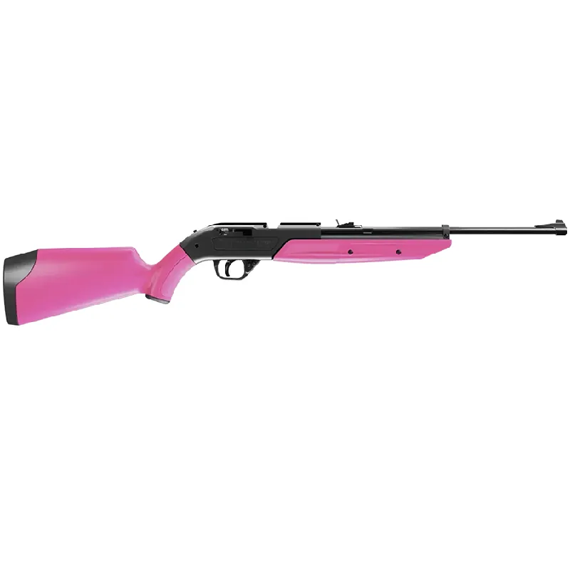 Crosman 760 Pump Master Variable Air Rifle