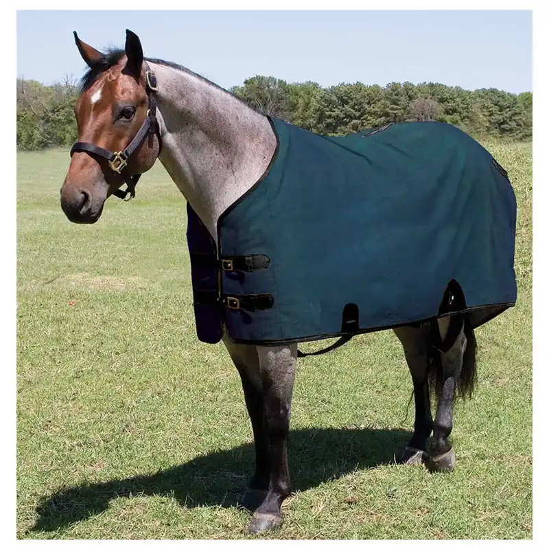 Mustang Canvas Turnout Blanket - Navy