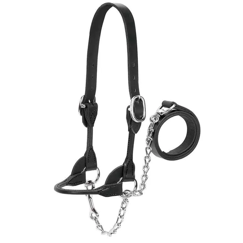 Weaver Classic Style Rounded Show Cow Halter