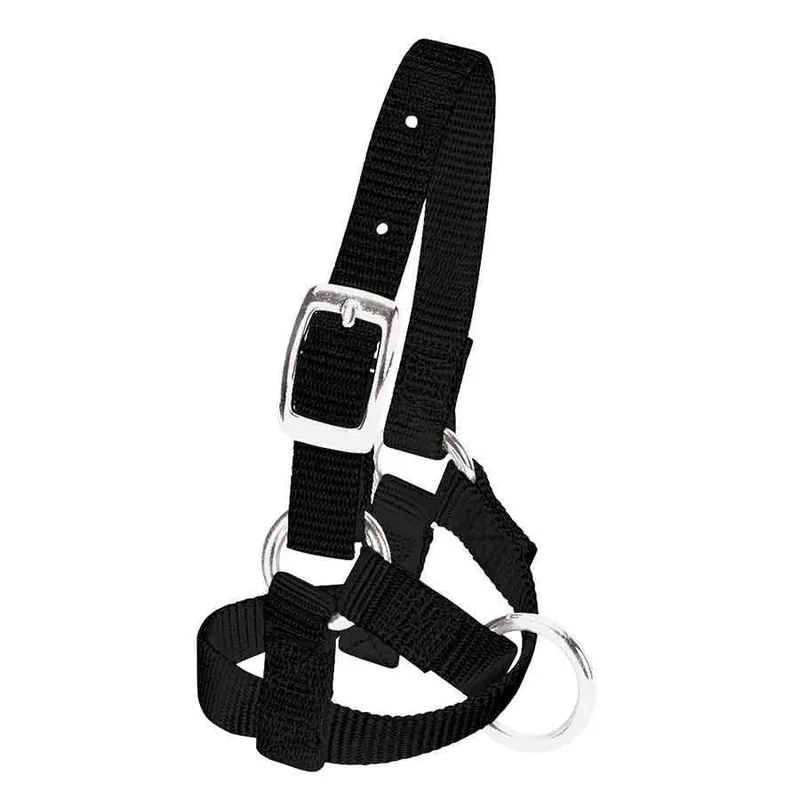 Weaver 5/8"" Alpaca Halter