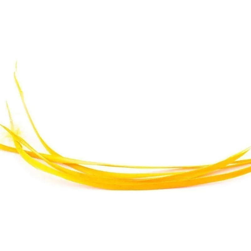 Stripped Goose Biots