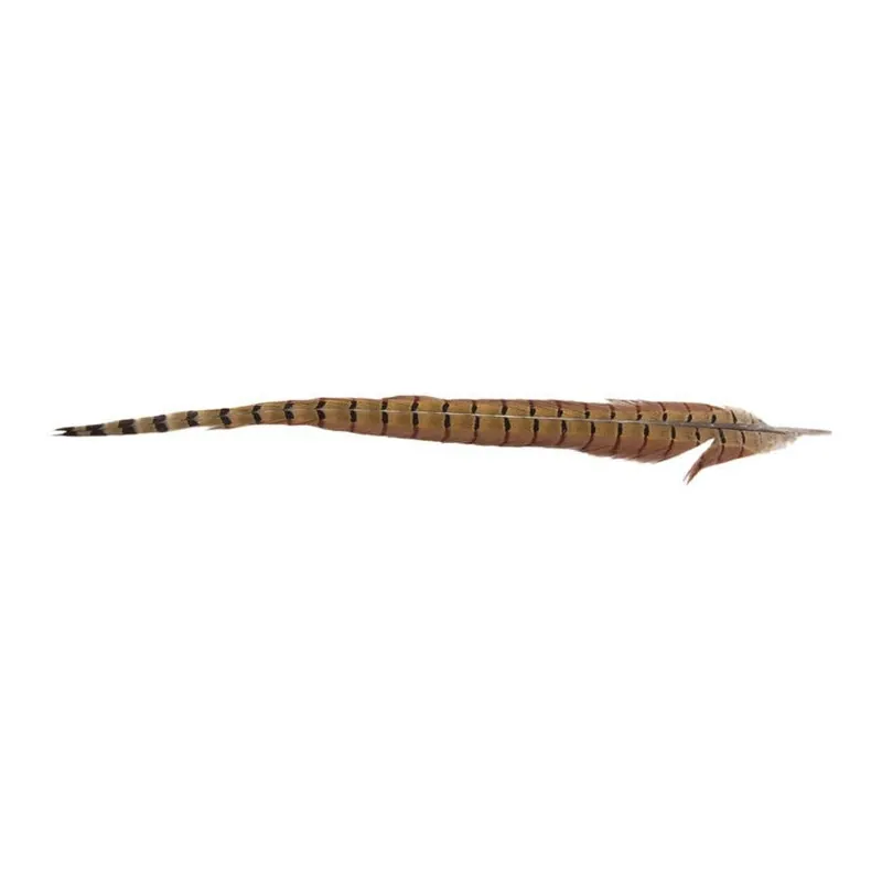 Ringneck Pheasant Tails North 40 Outfitters