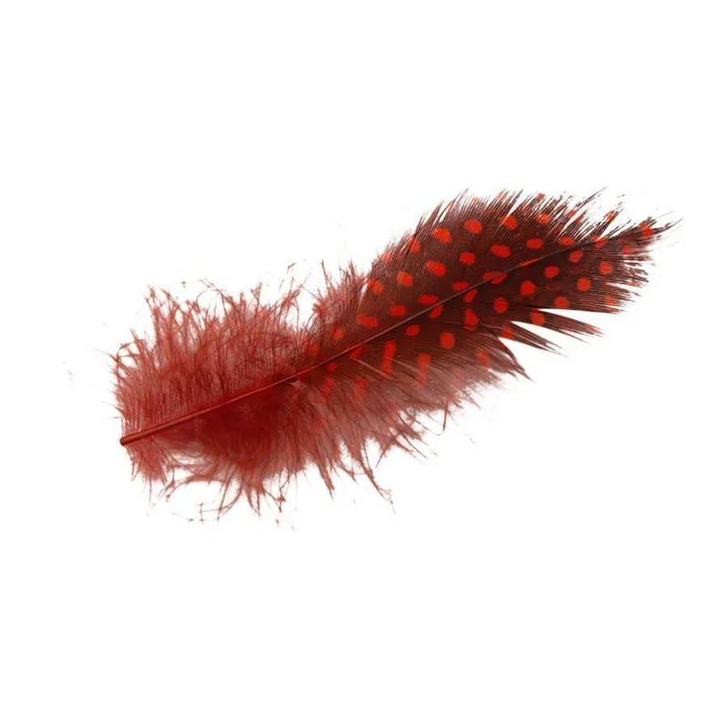 Guinea Hackle Feathers North 40 Outfitters