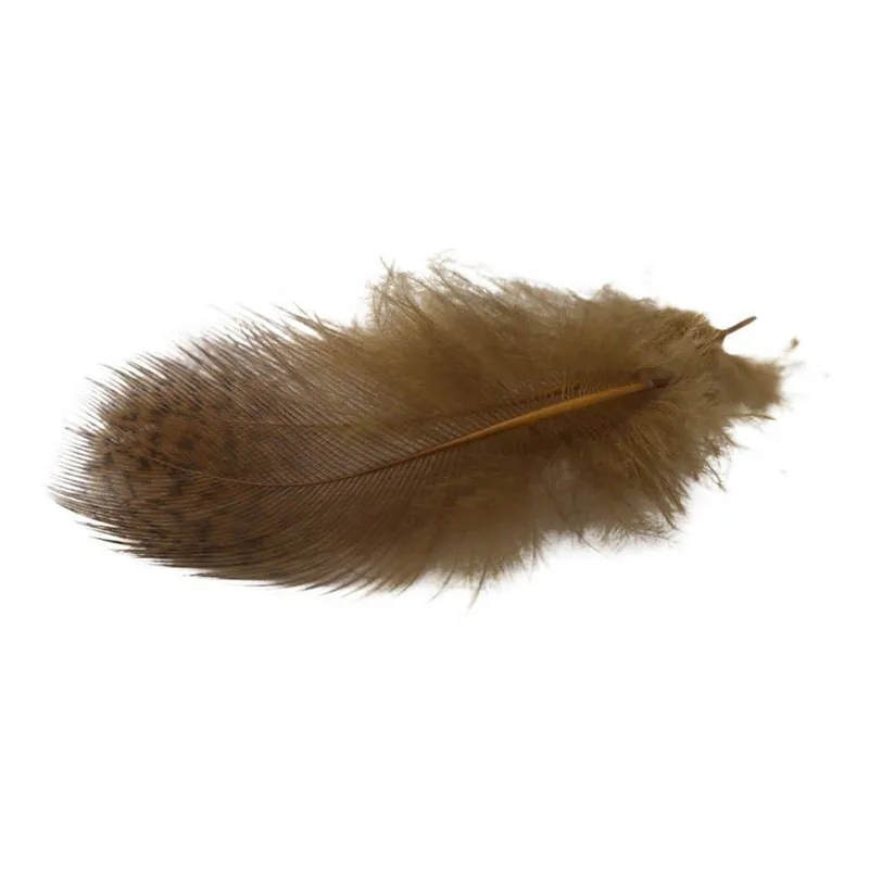 Premium Partridge Feathers North 40 Outfitters