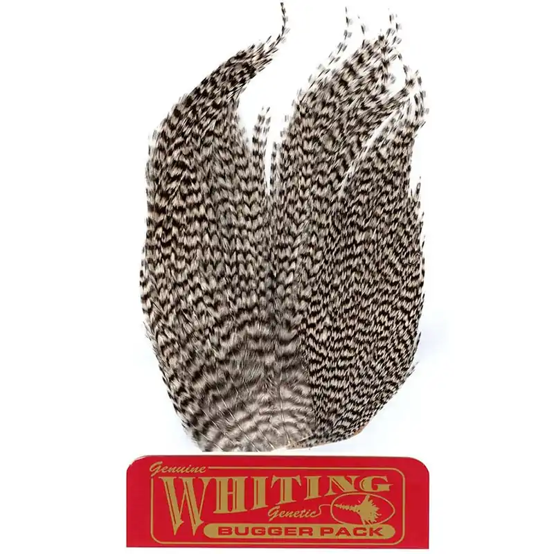 Whiting Farms Woolly Bugger Pack