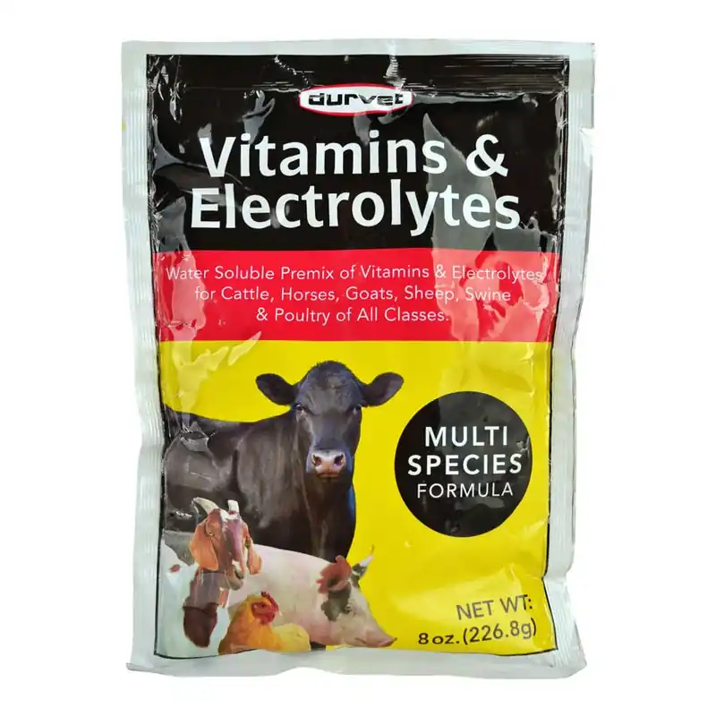 Multi Species Vitamins & Electrolytes